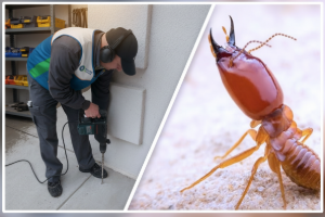 Termite-Control-Services Banner