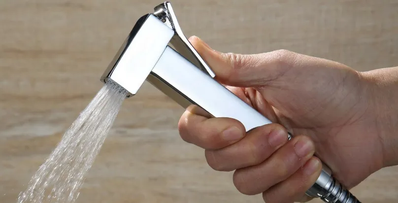 Jet Spray Repair & Replacement Service